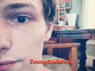 Youngbudstud