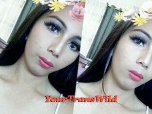 YourTransWild