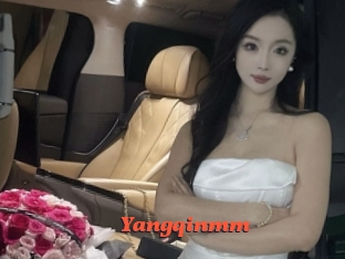 Yangqinmm