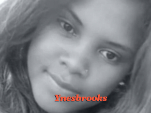 Ynesbrooks