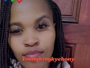 Youngkingkyebony