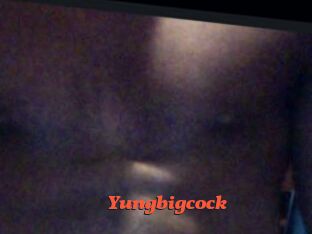 Yungbigcock