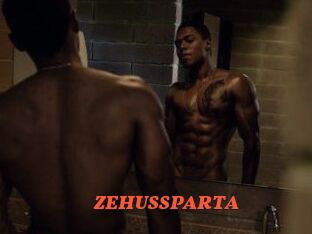 ZEHUS_SPARTA