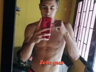 Zeta_guz