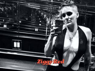 ZiggyRed