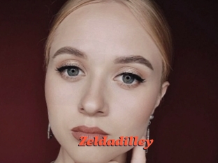 Zeldadilley