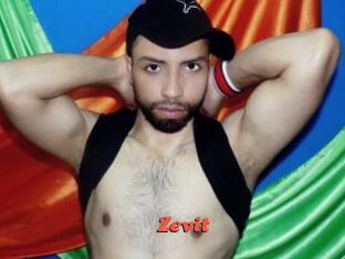 Zevit